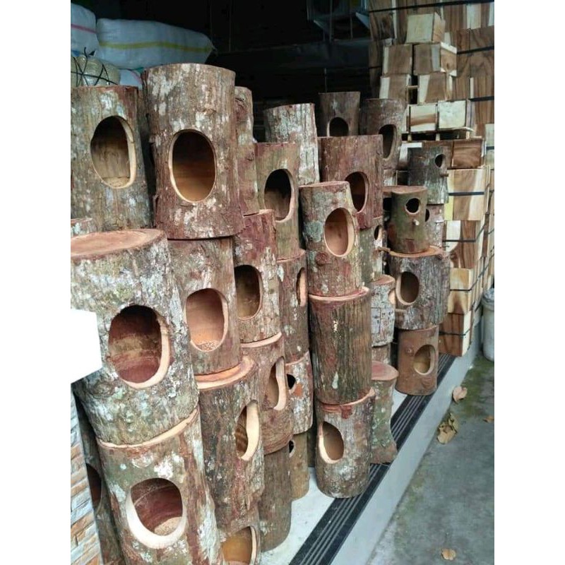 ต้นกล็อคก เลิฟเบิร์ด มูไร รังนกธรรมชาติ