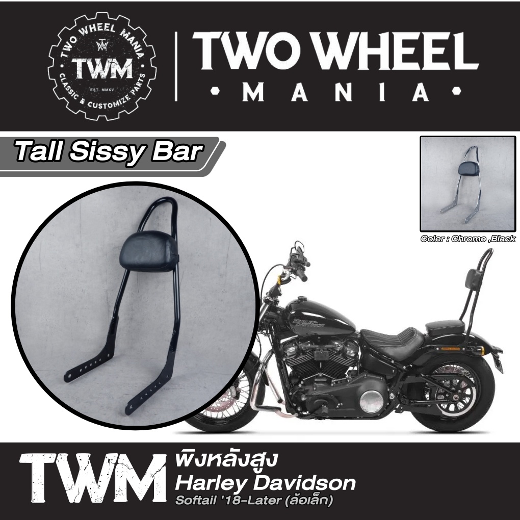 พิงหลังสูง Tall Sissy Bar Harley Davidson Softail '18Later