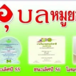📣📣ถูกมาก🔥🔥หมูยอพริกไทยดำ ป.อุบล 1 กิโลกรัม ถูกที่สุดจากราคาเต็ม 290 บ.