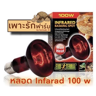 หลอดอินฟาเรด หลอดไฟ INFRARED Basking spot หลอดความร้อน สำหรับกางคืน Exo terra