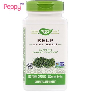 Natures Way Kelp Whole Thallus 600 mg 180 Vegan Capsules สาหร่ายเคล์ป