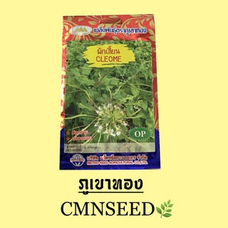 เมล็ดพันธุ์ ผักเสี้ยน CLEOME 4 กรัม