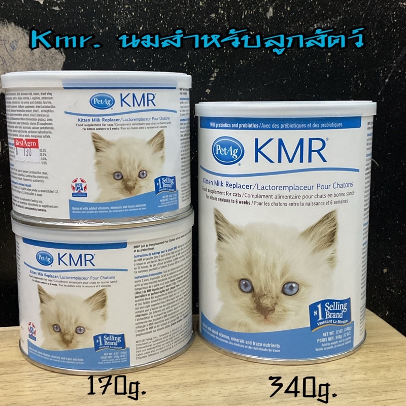 นมผงkmr นมแมว นมชูการ์ไกลเดอร์ นมสัตว์เลี้ยง ชูการ์ไกรเดอร์ ชูก้า กระรอก ลิงมาโมเสท