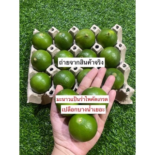 มะนาวแป้นรำไพแท้คัดเกรดเบอร์ใหญ่เปลือกบางน้ำเยอะ🍋