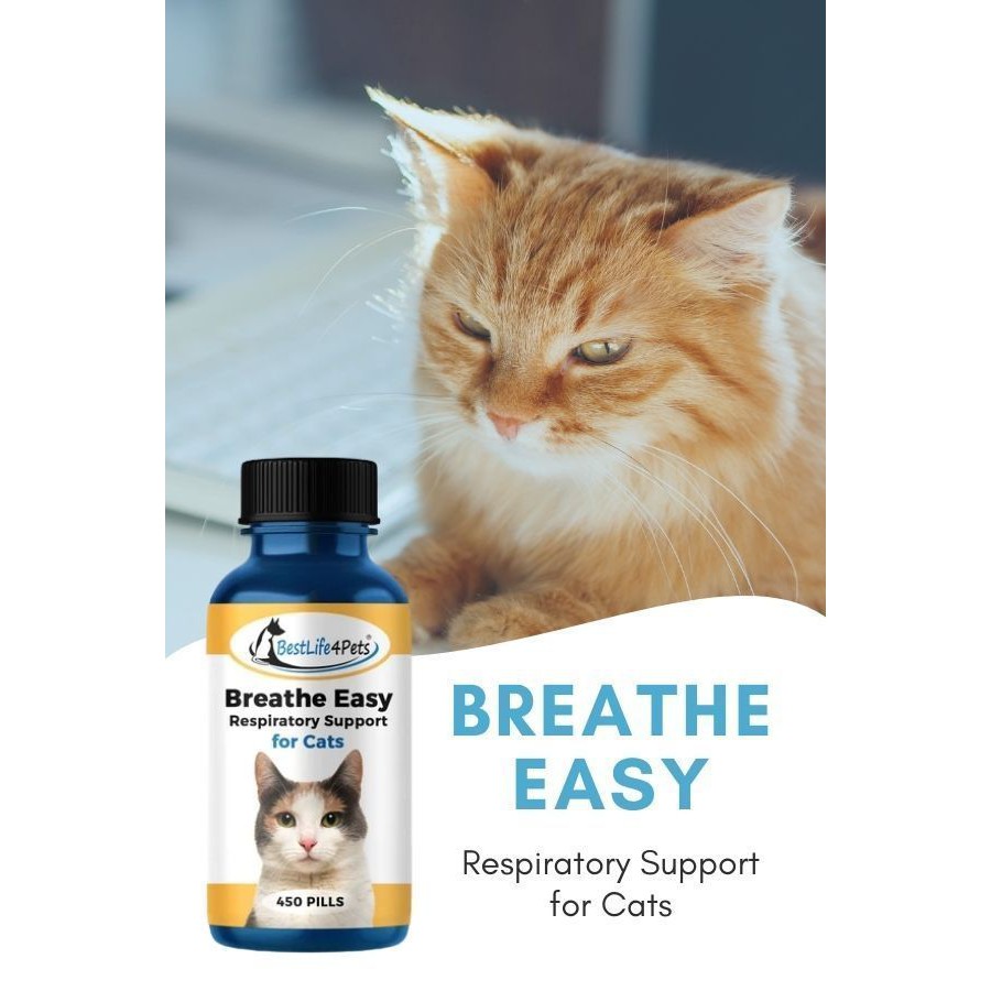 CAT Breathe Easy [กระปุก 450 เม็ด] อาหารเสริมสำหรับแมว ระบบทางเดินหายใจ Shopee Thailand