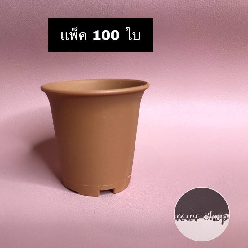กระถางต้นไม้พลาสติก/กระบองเพชร/แคคตัส/ต้นไม้มงคล 2 นิ้ว ปากแตร แพ็ค 100 ใบ สีอิฐ