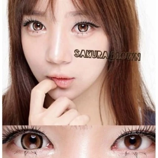 ส่งด่วนทุกวัน‼️คอนแทคเลนส์ Sakura Brown - Wink Lens / Pitchy Lens สีน้ำตาลขนาดตาโต