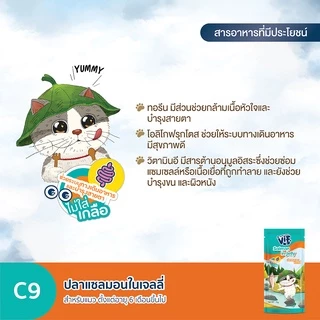 วิฟ (อาหารสำหรับแมว) : C9 ปลาแซลมอนในเจลลี่