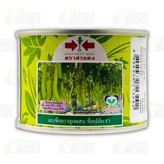 🌱 ศรแดง 🇹🇭 มะเขือยาวลูกผสม ท็อปกัน F1 ขนาดบรรจุ 20 กรัม อายุเก็บเกี่ยว 70 วัน