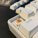 reviewร้านแนะนำ Tactile DROPInvyr Holy Panda Lubedไม่ Lubex1 สวิทช์คีย์บอร์ด Mechanical น้ำหนัก 67g แสงลอด comment 3