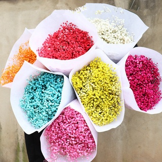 Dried Flower Gypso 1KG. ดอกไม้ ดอก ยิปโซ อบแห้ง