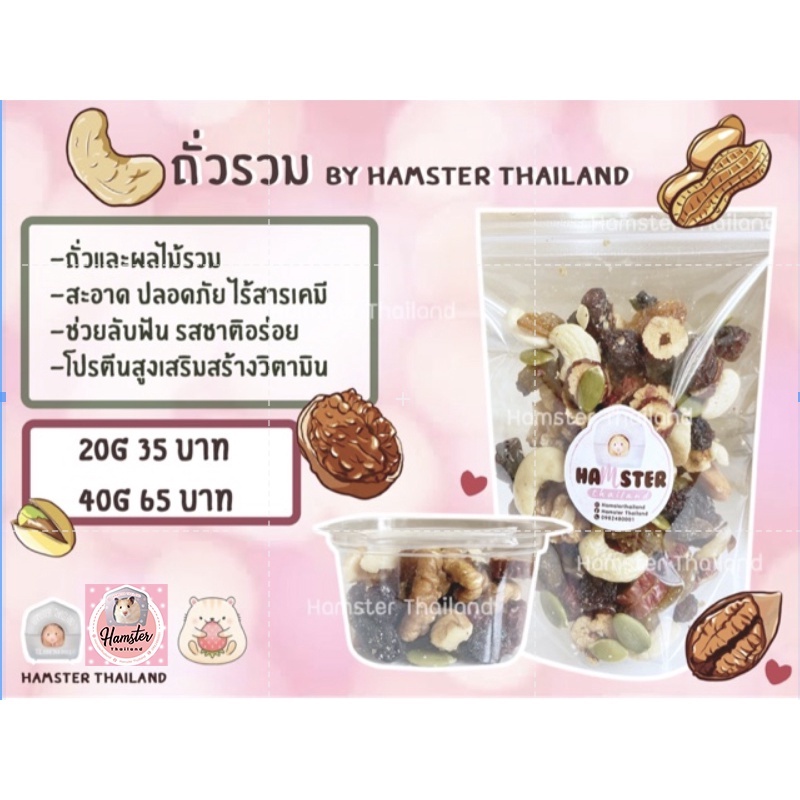 [Hamsterthailand] ถั่วรวม อัลมอนด์ วอลนัท ลูกเกด ขนมสำหรับสัตว์เลี้ยง แฮมสเตอร์ เม่นแคระ แฟนเทล1/3