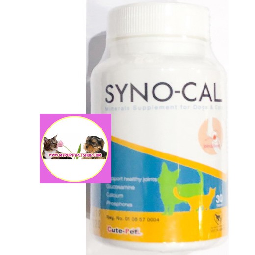 SYNO CAL บำรุงกระดูก ข้อต่อ สะโพก สุนัข-แมว 30 เม็ด