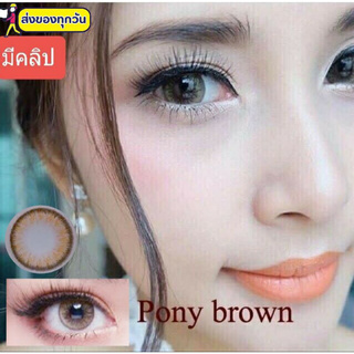 💟 Pony (Cuite) ๑ -00 ถึง -1000 Pitchylens Prettydoll Wink Sweety plus (จัดยี่ห้อที่มีพร้อมส่ง )บิ๊กอาย คอนแทคเลนส์