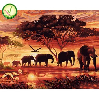 EP-HOME DIY ภาพวาดสีน้ำมัน ภาพระบายสีตามตัวเลข Elephant, african impression unframe