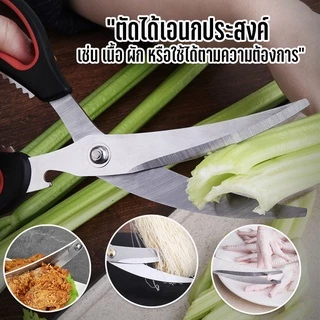 Marino Home (สินค้าพรีเมี่ยม!! มีแพ็คเกจ ของแท้ 100%) กรรไกรตัดเนื้อ แบบโค้ง กรรไกรตัดอาหาร สเตนเลส No.Y1086