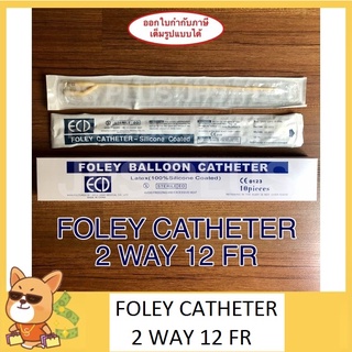 Foley Catheter 2 way เบอร์ 12 สายสวนปัสสาวะ 2 ทาง