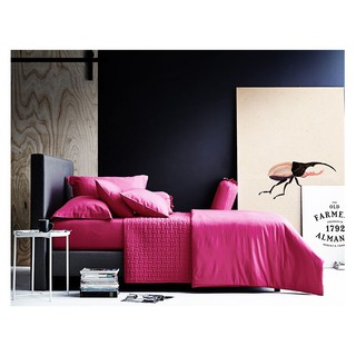 ผ้าปูที่นอน 6 ฟุต LOTUS PANTONE LCT-PT-16 BEDSHEET FITTED K1 LOTUS 690TC PANTONE LCT PT 16