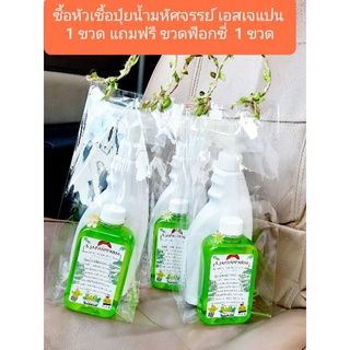 ( ส่งฟรี ทุกชิ้น ) หัวเชื้อ ปุ๋ยน้ำมหัศจรรย์ เอส เจแปน ฟาร์ม 1 ขวดผสมน้ำได้ 70 ขวด แถมขวดฟ๊อกซี่ฟรี 1 ขวด