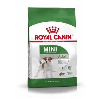 Royal canin Mini adult 8 kg อาหารสุนัขโต พันธุ์เล็ก ชนิดเม็ด (MINI ADULT)8กก