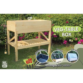 กระถางต้นไม้ VEG-TABLE โต๊ะกระถางต้นไม้ยกสูง ปลูกในคอนโด/พื้นที่จำกัด เคลือบกันน้ำ ทนทาน เกรดส่งออก จาก MR. TREE BOX