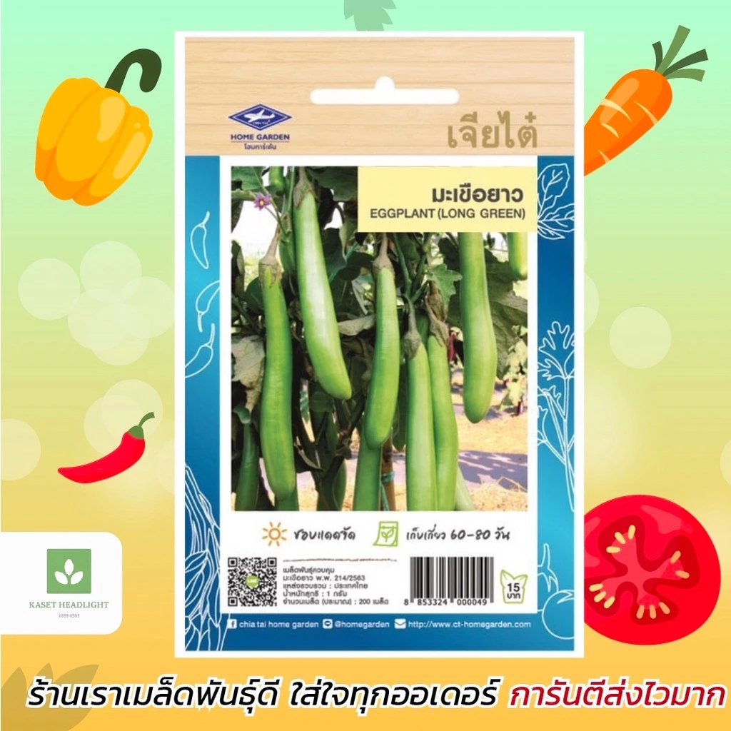 มะเขือยาว เจียไต๋ เมล็ดพันธ์ุมะเขือยาว Eggplant