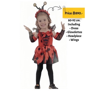 ชุดแฟนซีเด็กเล็ก เด็กอนุบาล Ladybug Toddler Costume size 80-92 cm.