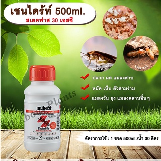 เชนไดร้ท์ 500ml. สเตดฟาส 30 เอสซี ไบเฟนทริน กำจัดปลวก มด แมลงสาบ หมัด เห็บ แมลงวัน ยุง allaboutplants