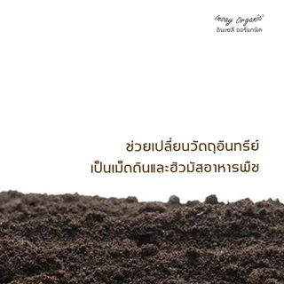 น้ำหมักมูลไส้เดือนINSAY บำรุงรากพืช ปลดปล่อยธาตุอาหาร ฟื้นฟูสภาพดิน ใช้กับพืชทุกชนิด ขนาด 1 ลิตร