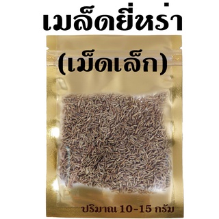 เมล็ดยี่หร่า อบแห้ง เม็ดเล็ก [ปริมาณ 10 กรัม]