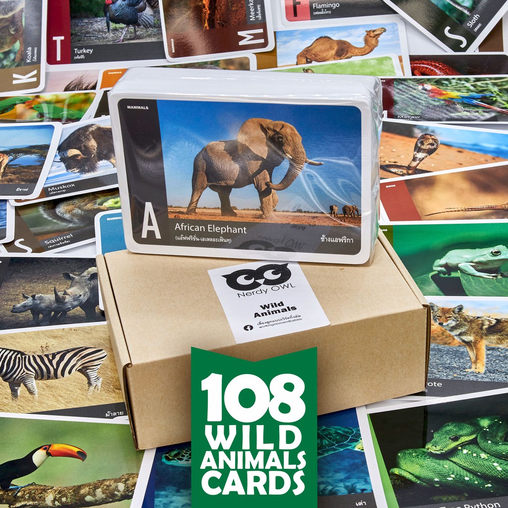 แฟลชการ์ด บัตรคำ การ์ดคำศัพท์ Flash Cards [สัตว์ป่า Wild Animals] จำนวนมากที่สุดถึง 108 ใบ ของเล่นเสริมพัฒนาการ