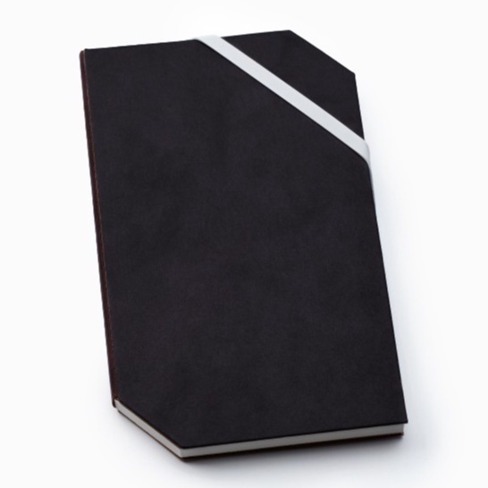 labrador Notebook Triangle M (plain) green read สมุดโน๊ตแบบตัดมุม (ไม่มีเส้น) LPS032
