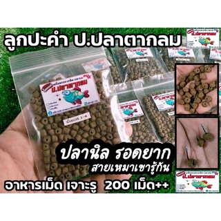 อาหารเม็ดเจาะรู ลูกปะคำ สายเหมาเขารู้กัน  / ชิงหลิว-สปิ๋ว / …