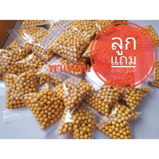 สินค้าสมนาคุณลูกค้า ลูกพลาสติก หรือ เซรามิก ประมาณ 200-300 นัด/ถุง