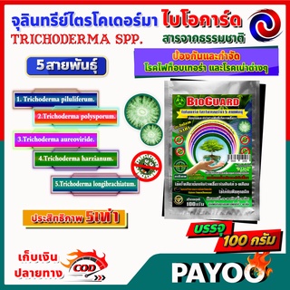 🔥ลด 50% ใส่โค้ด INC8LZ3🔥 (1ซอง) ไบโอการ์ด BIOGUARD ไตรโคเดอร์ม่า Trichoderma spp. 5 สายพันธุ์ ขนาด 100 กรัม
