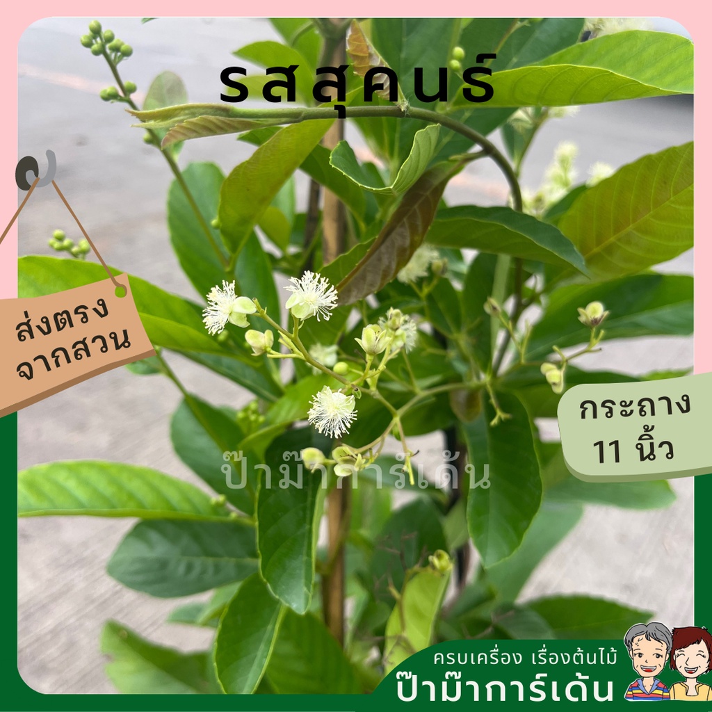 มุมมอง 5