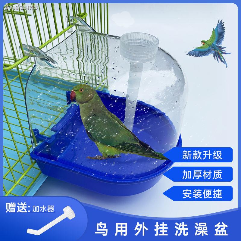 My Image 26