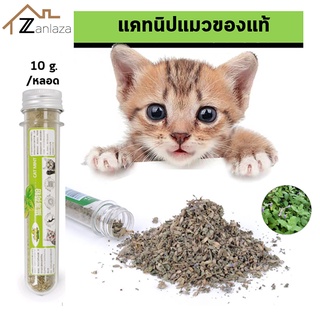 Zanlaza ผงแคทนิป แคทนิปกัญชาแมว Catnip กัญชาแมว ของแท้ หอมสดใหม่ สมุนไพรแมว แคทนิปออร์แกนิค ให้เหมียวผ่อนคลาย อารมณ์ดี