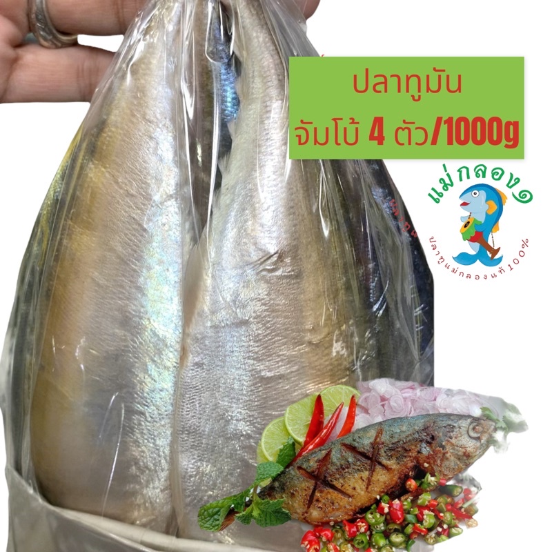 ปลาทูมัน(เค็มน้อย)size🐟4ตัวโล#อร่อยกำลังดี#ปลอดสาร