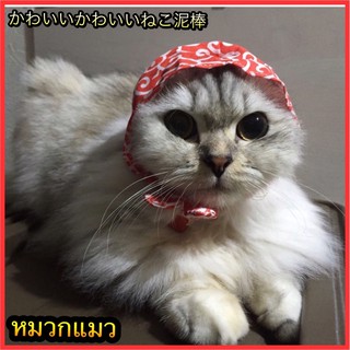 kawaii Kawaii Neko Dorobo หมวกแมว๏มีสินค้าพร้อมส่ง๏