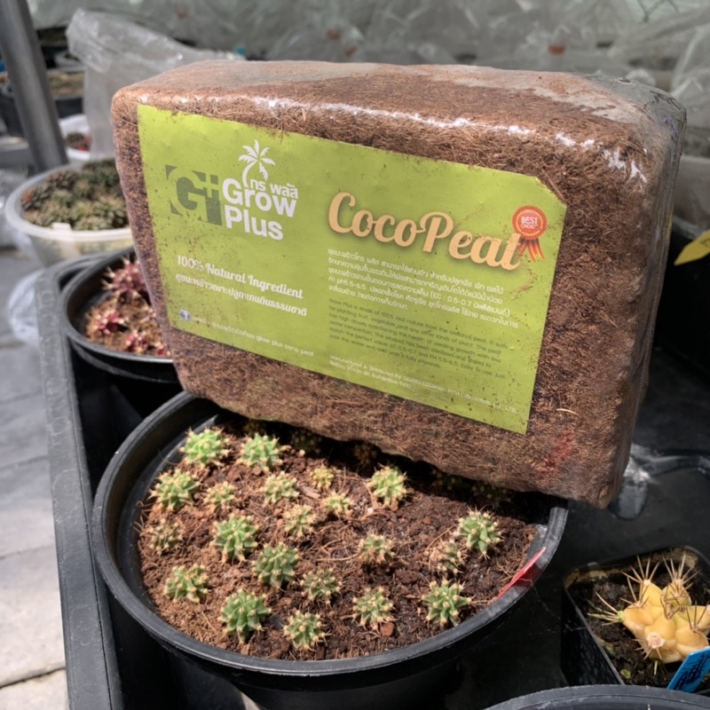โคโค่พีท Grow Plus Coco peat 400/800 g. แทนพีทมอส ขุยมะพร้าว อัดก้อน แห้ง ไร้แทนนิน ปลูกกล้า เพาะ ชำหน่อ กระบองเพชร