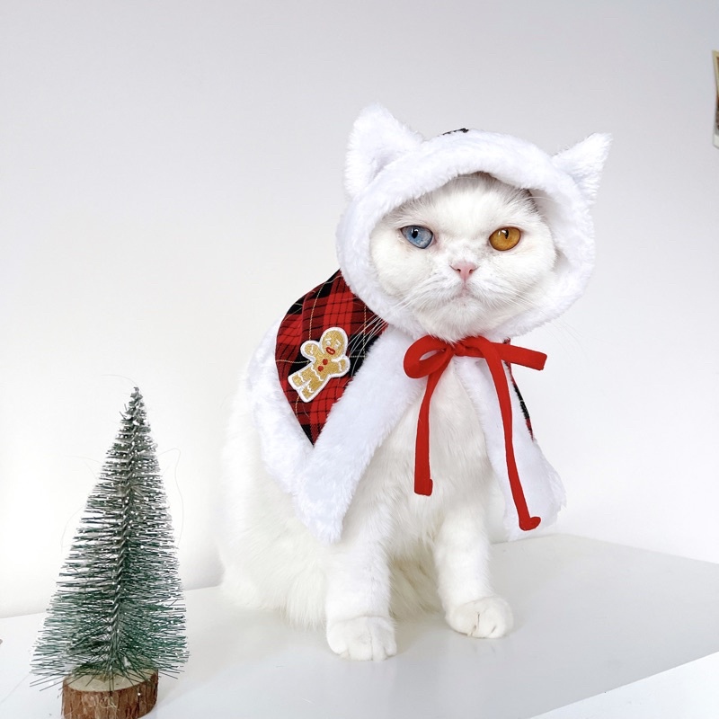 [Pre-order] หมวกสก็อตหูแมว - Christmas Collection Purrpet