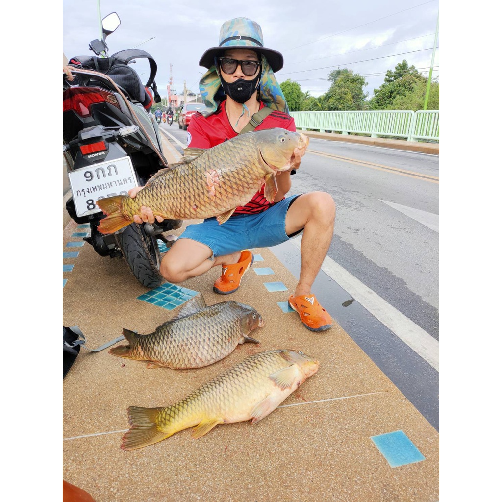 แว่นยิงปลา ตกปลา ตัดแสงทรงสปอร์ตมองเห็นปลาใต้น้ำได้ชัดมากขึ้น🐟🐟🐟 - รูปที่ 3