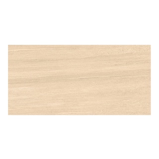 BASIC กระเบื้อง DBLIZZARD SAND REC.(GT632403R) 30X60 *A