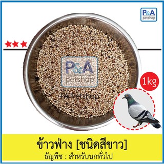 ข้าวฟ่างนก/ชนิดสีขาว [ธัญพืชสำหรับนก] 1kg