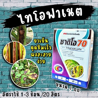 ไทโอฟาเนต - เมทิล 50 500 กรัม 💥 ป้องกันและดูดซึม โรคใบไหม้ โรคใบขีดสีน้ำตาล โรคเมล็ดด่างในข้าว โรคแผลสะเก็ด(สแคป)