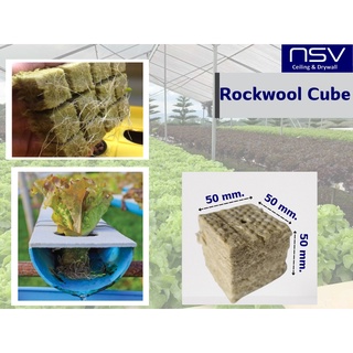 Rockwool Cubes ก้อนใยหินสำหรับเพาะปลูกต้นกล้า เพาะเมล็ด เพาะชำ แบบไฮโดรโปนิกส์ ขนาด 50x50x50 มม.