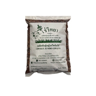 เมล็ดพันธุ์หญ้าสวีทจัมโบ้ ราคา กิโลกรัมละ 120 บาท (ไร่วิทยา)