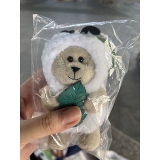 Starbucks Bearista หมีหนอน