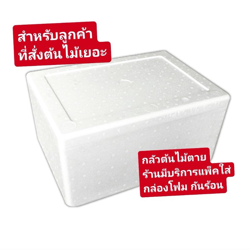มีบริการแพ็คใส่กล่องโฟม​ กดสั่งกล่องโฟมในออเดอร์​ได้เลยค่ะ
